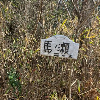 背ちゃいますね。瀬か。