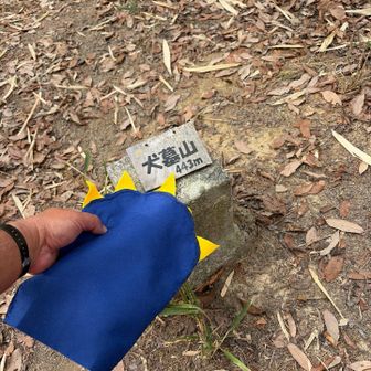 しかし、鬼城山ビジターセンターの女子トイレの大行列を見て、maruさんと私は一念発起して犬墓山へ突撃しました（１座目）　
阿曾  三等三角点🔺443.12m