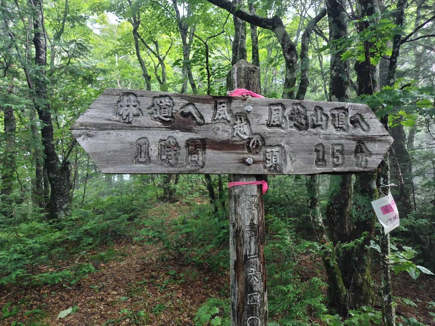 風越の頭に到着🙌