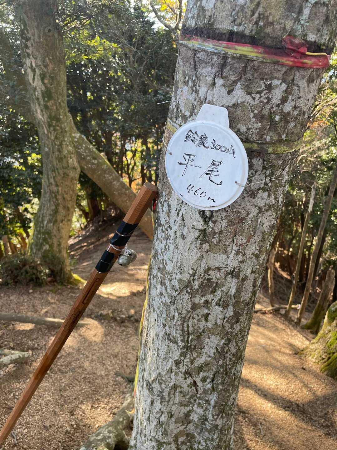 平尾登頂‼️
