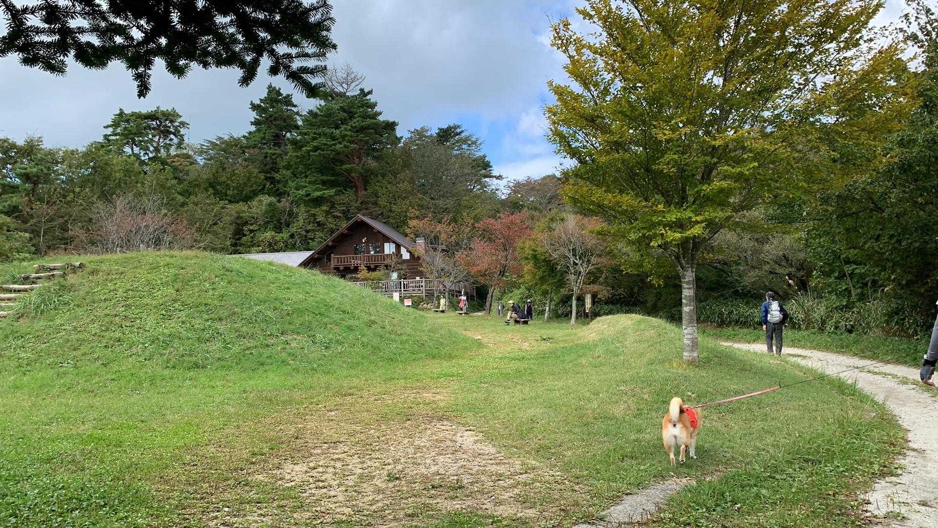 広場 所々紅葉始まってる