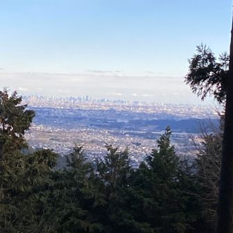 ここからも新宿高層ビルが見えます