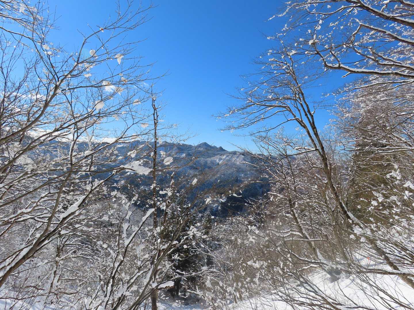鍋冠山が見えます。
次はまたあそこに行こうね！