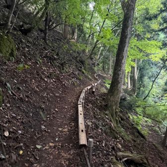 なだらかな登り