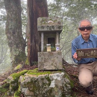 仙元峠はピークなんです
