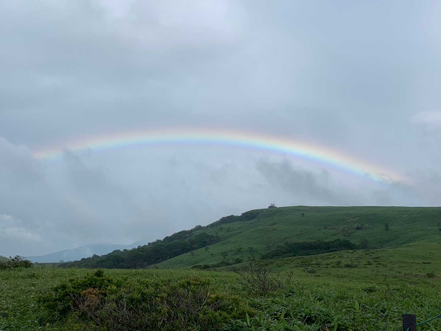 まさかの虹🌈

