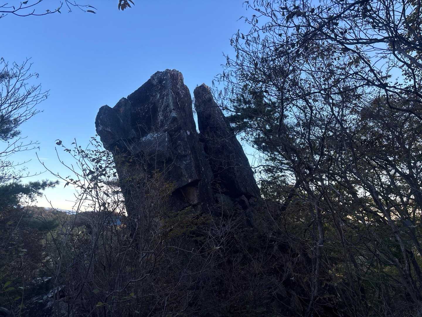 宇都宮市森林公園駐車場登山口-長倉山-鞍掛山-シゲト山-猪 周回コースの写真