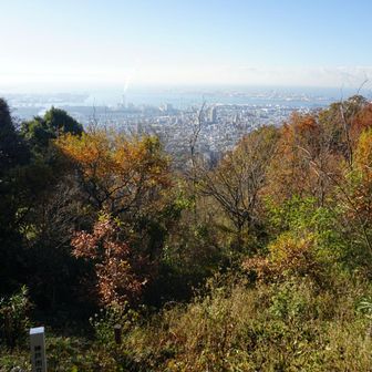 坊主山山頂付近