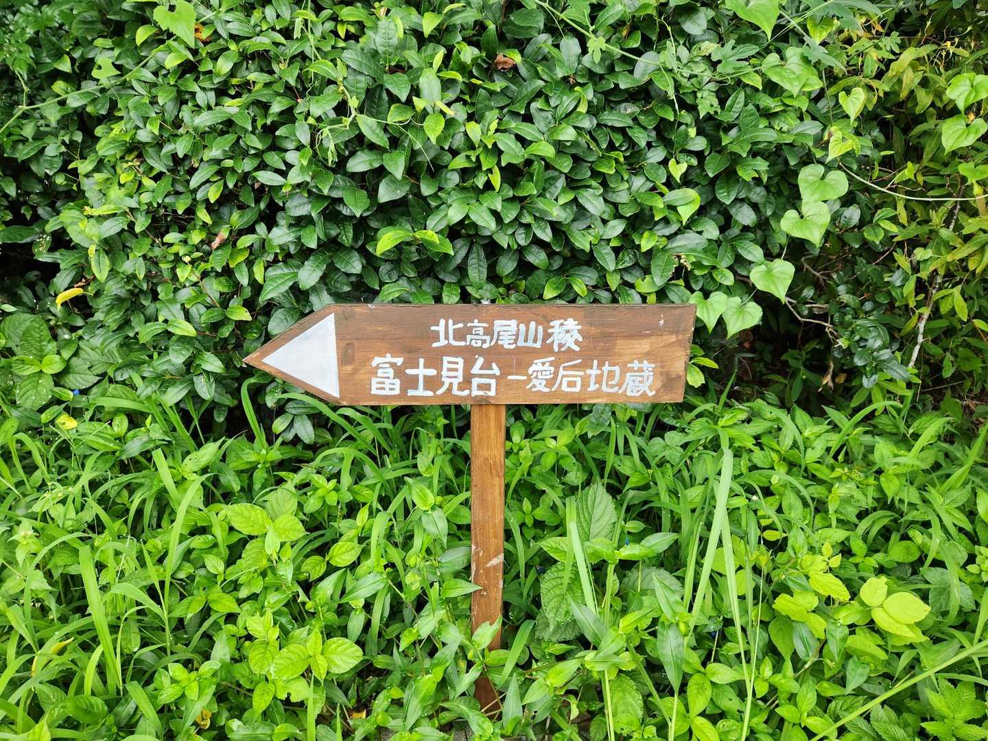 高尾駅から歩いてやっと登山口。すでに汗💦が止まらないのだが。