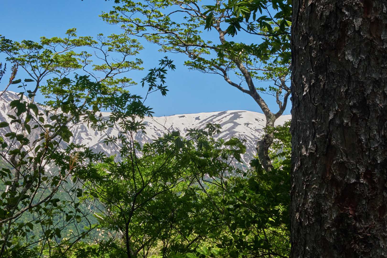 弥平四郎登山口-鏡山 往復コースの写真