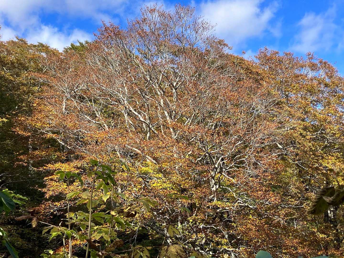 この辺り標高1200米、