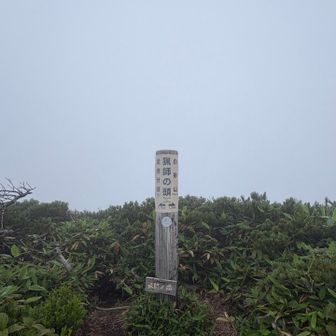 猟師ノ沢ノ頭
いくつ目のピークなのか忘れたが
標識で今どこなのかがわかる
晴れていれば、、、