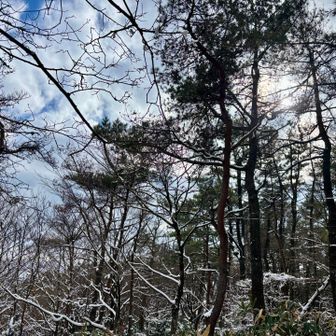 雪が積もるといつもよりきれいに見える
それとも、困難を乗り越えたからそう見えるのか
感傷に浸り、下山で笹雪を通ることを考えないようにする