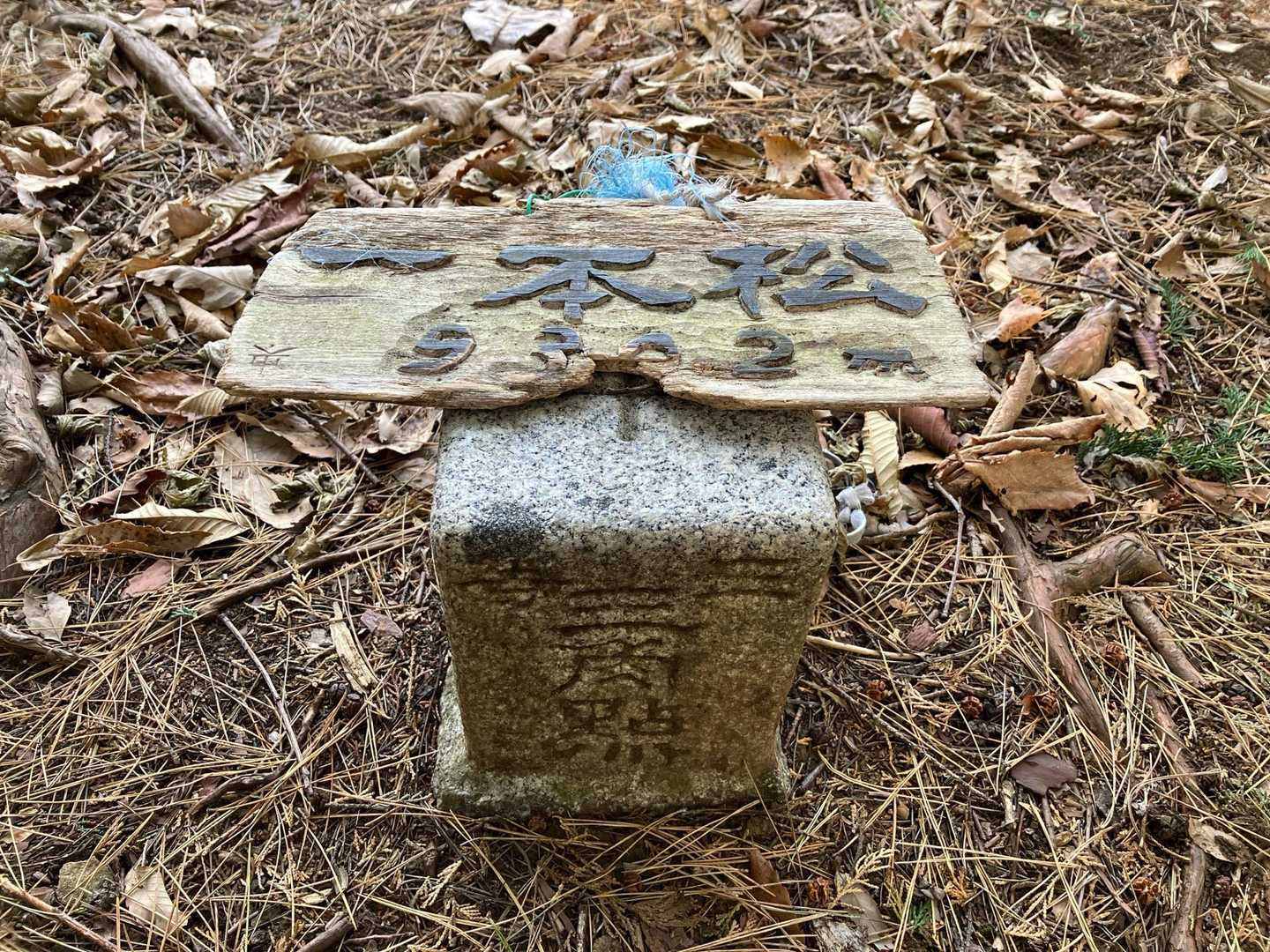 一本松に着きました。