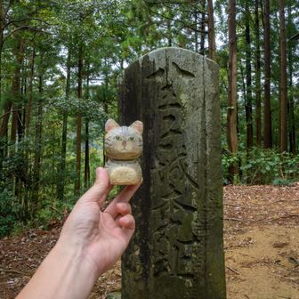 城山到着