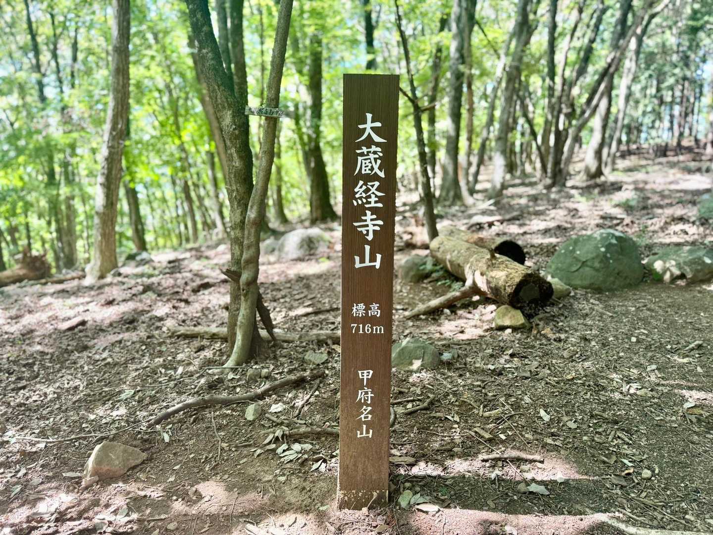 大蔵経寺山-深草山 往復コースの写真