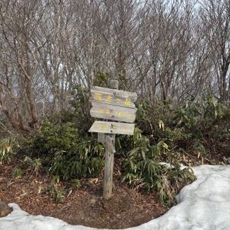 西方ヶ岳の山頂
山頂には木が生えてて景観はそこまでよくない