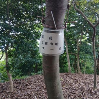 ⑥大一足