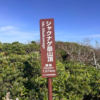 登り切って少し横移動してシャクナゲ岳の山頂に到着🙌🏻