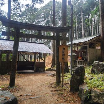 すぐに、白鬚神社⛩️
まずは、参拝🙏