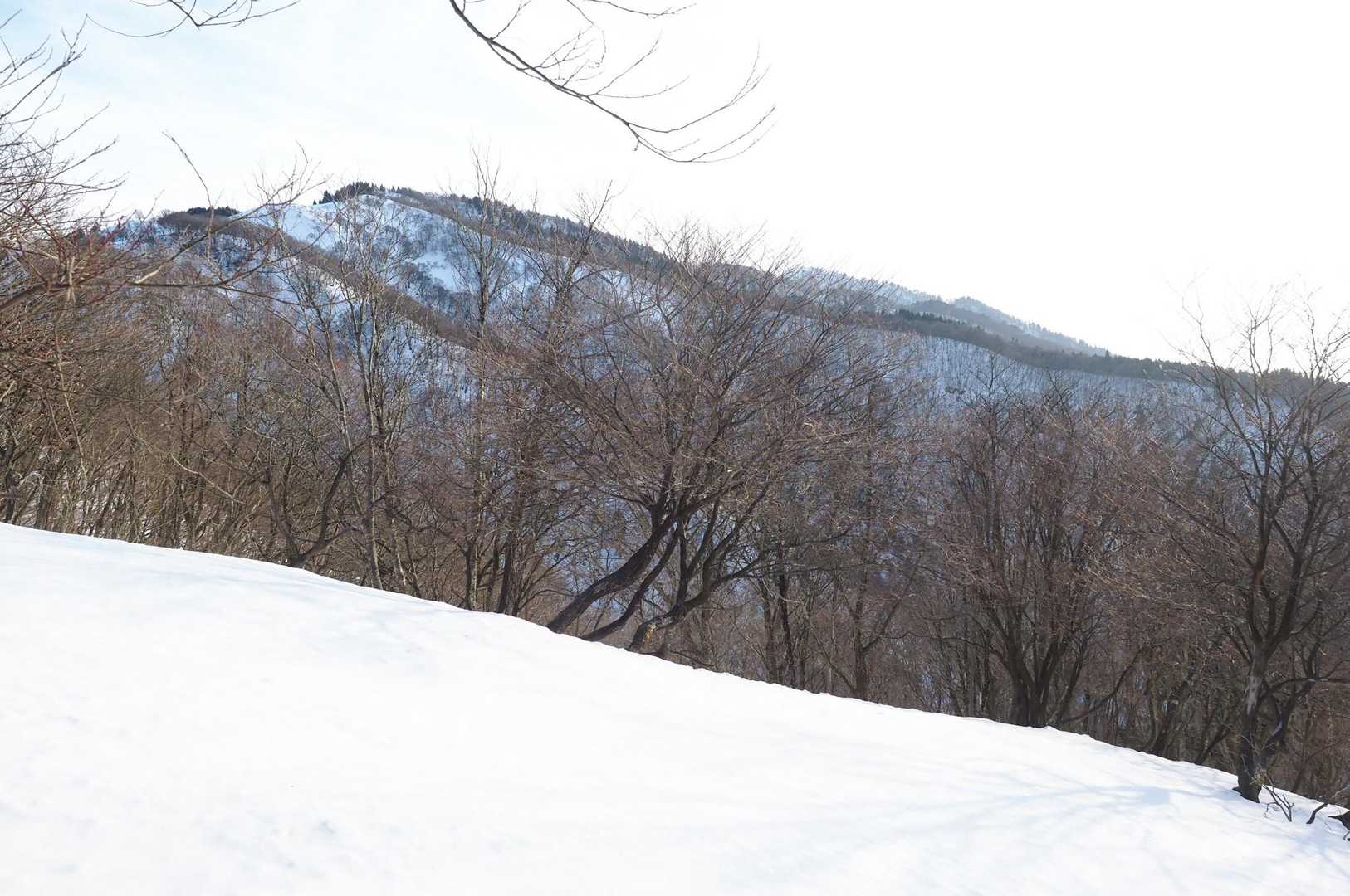 朽木栃生バス停-イクワタ峠-釣瓶岳 往復コースの写真