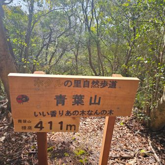 学生の頃青葉区に住んでました。
さてどこでしょう🌱