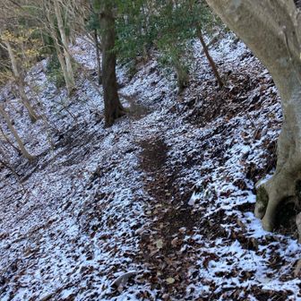 ピストン戻りは
無心でﾃｸﾃｸ(*oⲺ ⲻⲺ)oﾃｸﾃｸ