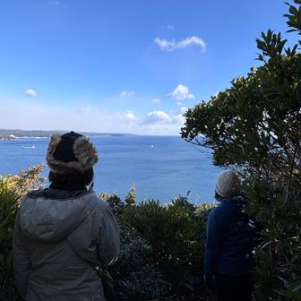 展望台が何箇所もある