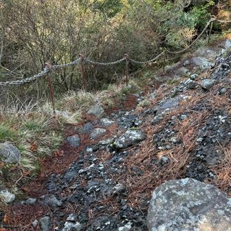 ココを下に下ってみたかった