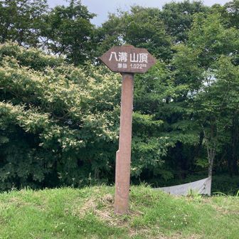 山頂