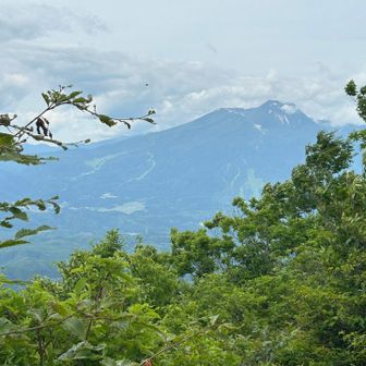 妙高山が見えます⛰️