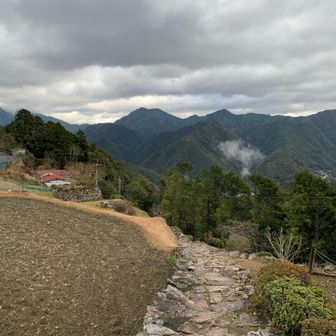 高度感あります