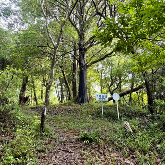 １号古墳から、10号古墳まで、古墳跡が続きます。