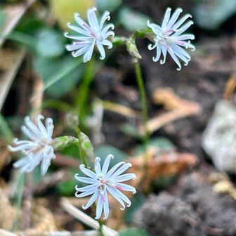 まだまだ今から…