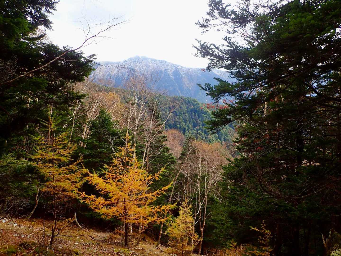 下りながら
紅葉に高揚したり