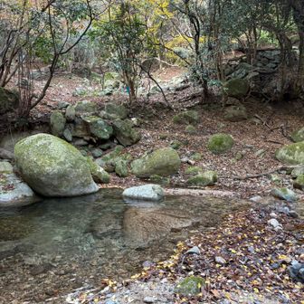 渡ってきました
水がとてもきれいです