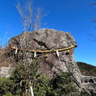 しめ縄が設置されてる…