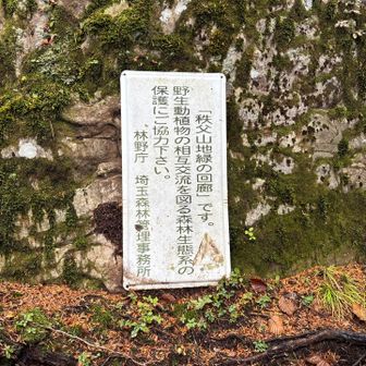 いつか縦走してみたい