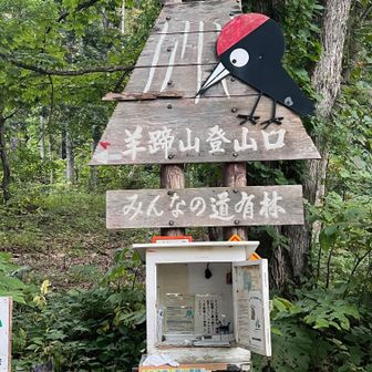 登山口