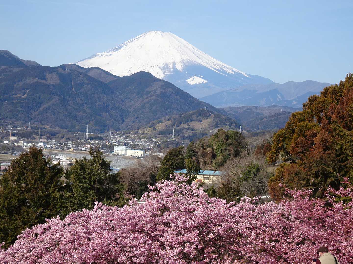 ドーンの富士山