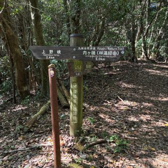 上野越まで下ってきた。
ここから福智山ダムまで下る。