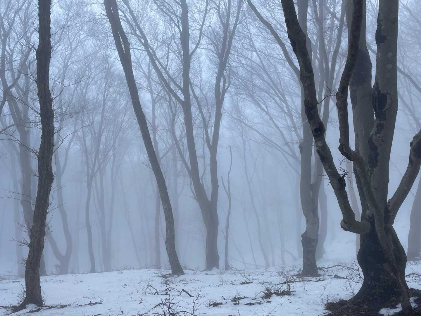 いい感じ😊