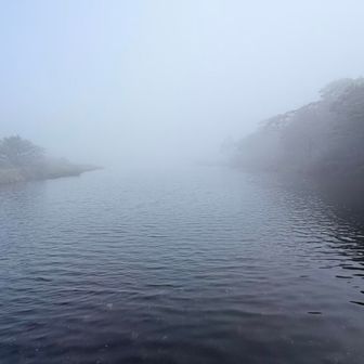 ガスガスの覚満淵
