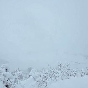 展望は…😶‍🌫️