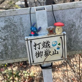 展望はなかったがもう一つの山名板発見💡