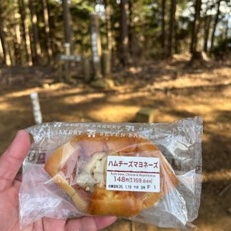 　お昼、風が冷たいので歩きながら食べる😋