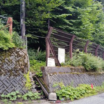 いや、まだだ・・・。
ここから鍋平駐車場まで最後の登り！