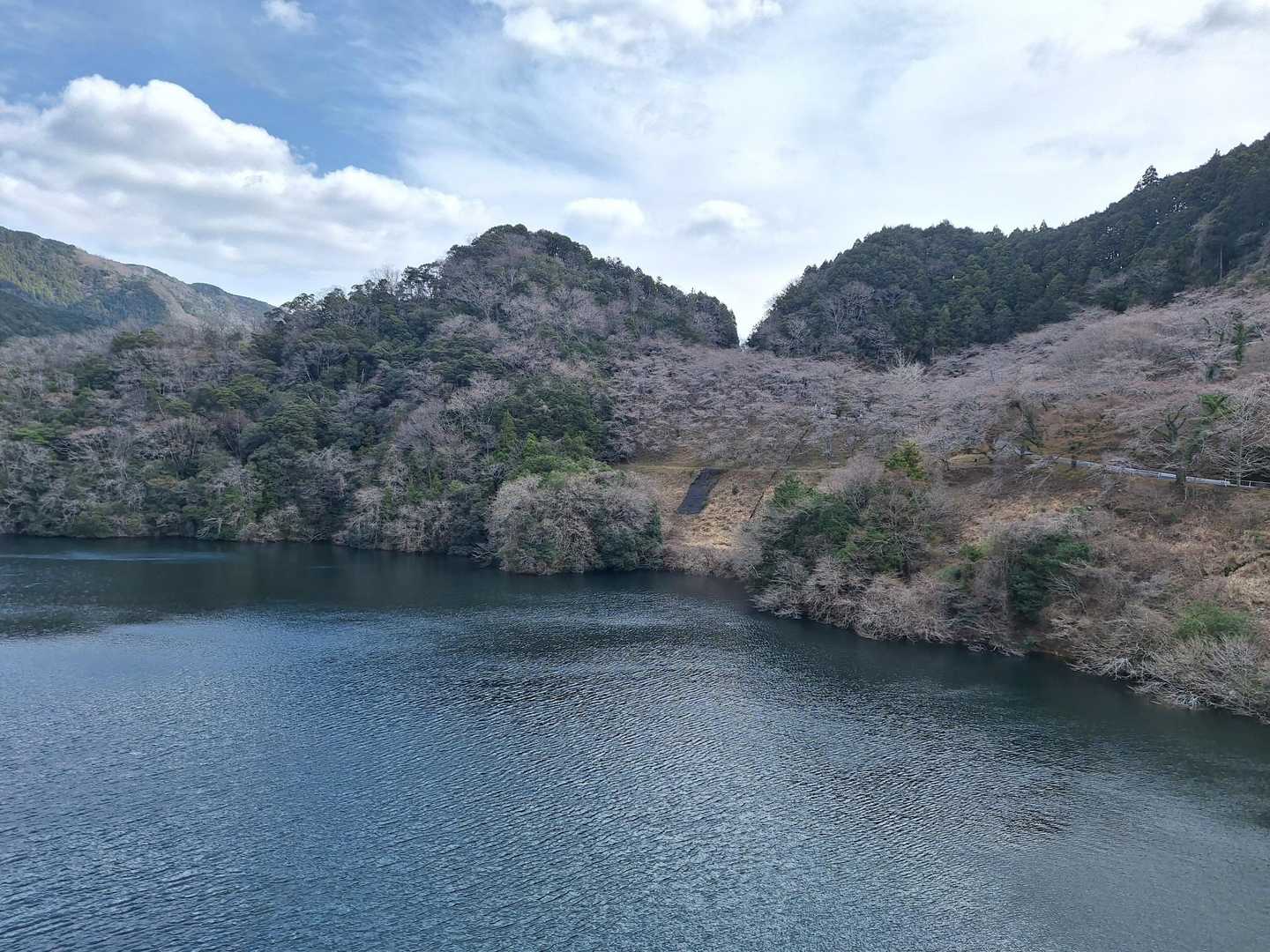 ダム湖周辺の桜🌸まだ蕾
来週辺りかな😊