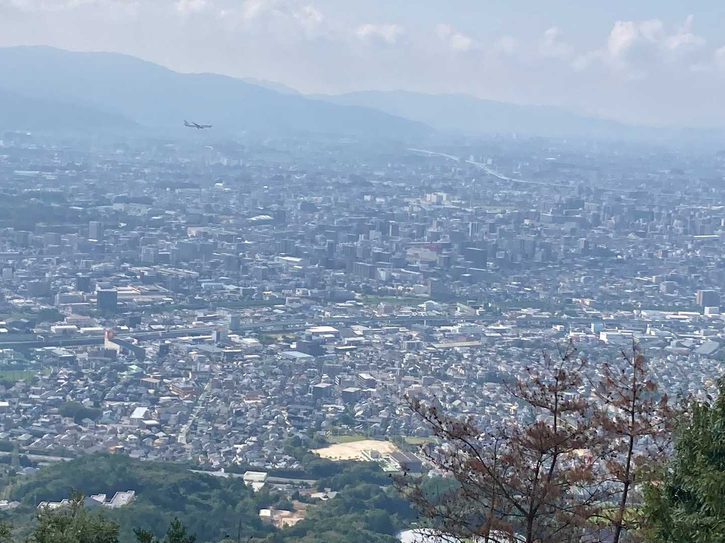 空港の近くなので飛行機が次から次へと飛んできます✈️