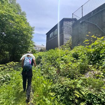 野地温泉までは道路の脇に登山道あるので
そこをわしわし。
ロード歩いたらかなり遠回りになるので注意⚠️